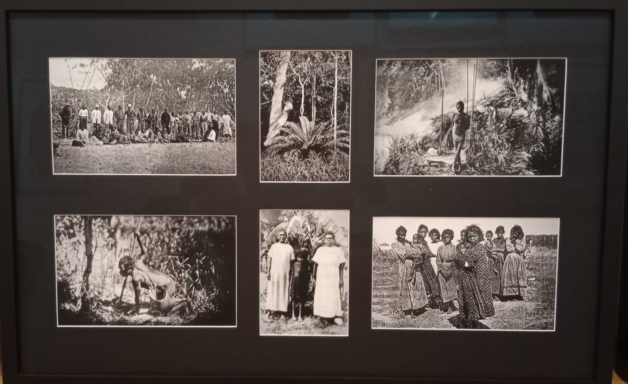 Echo of the Past Cairns Museum