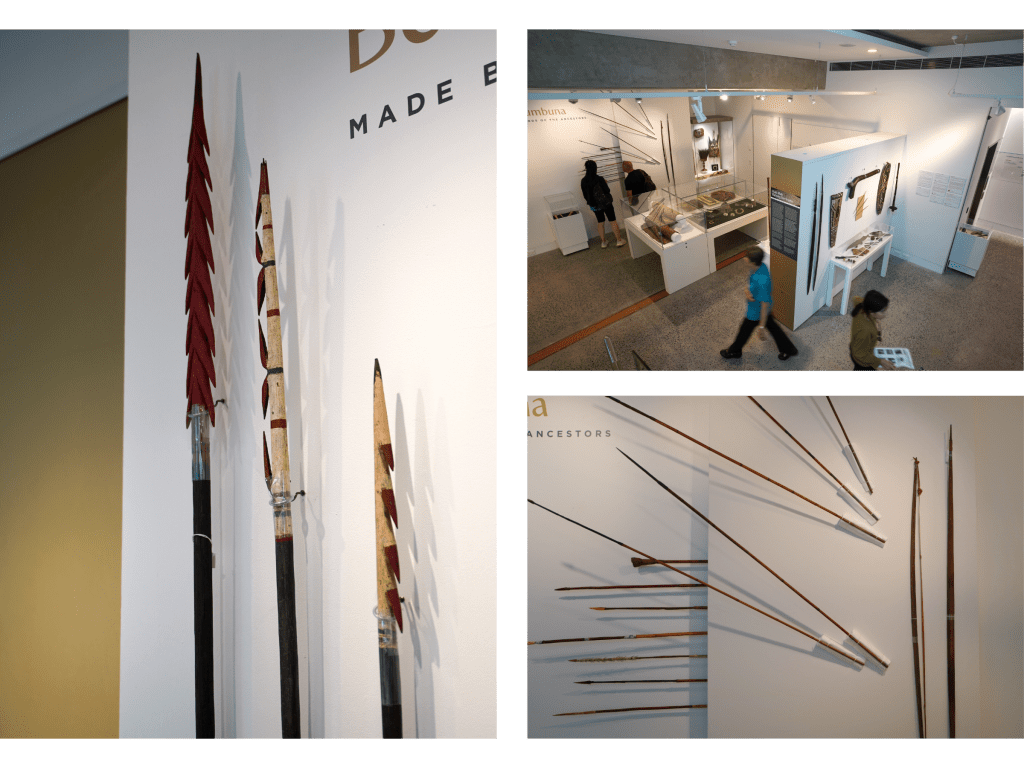 Museum display featuring traditional arrows and bows from Papua New Guinea